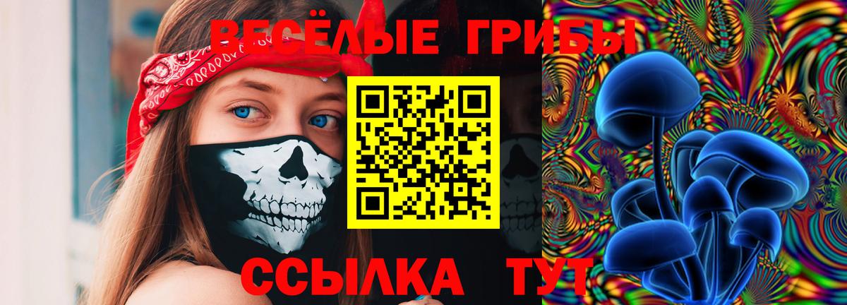 Галлюциногенные грибы Magic Shrooms  Вход с VPN  Галлюциногенные грибы мицелий  Чапаевск 